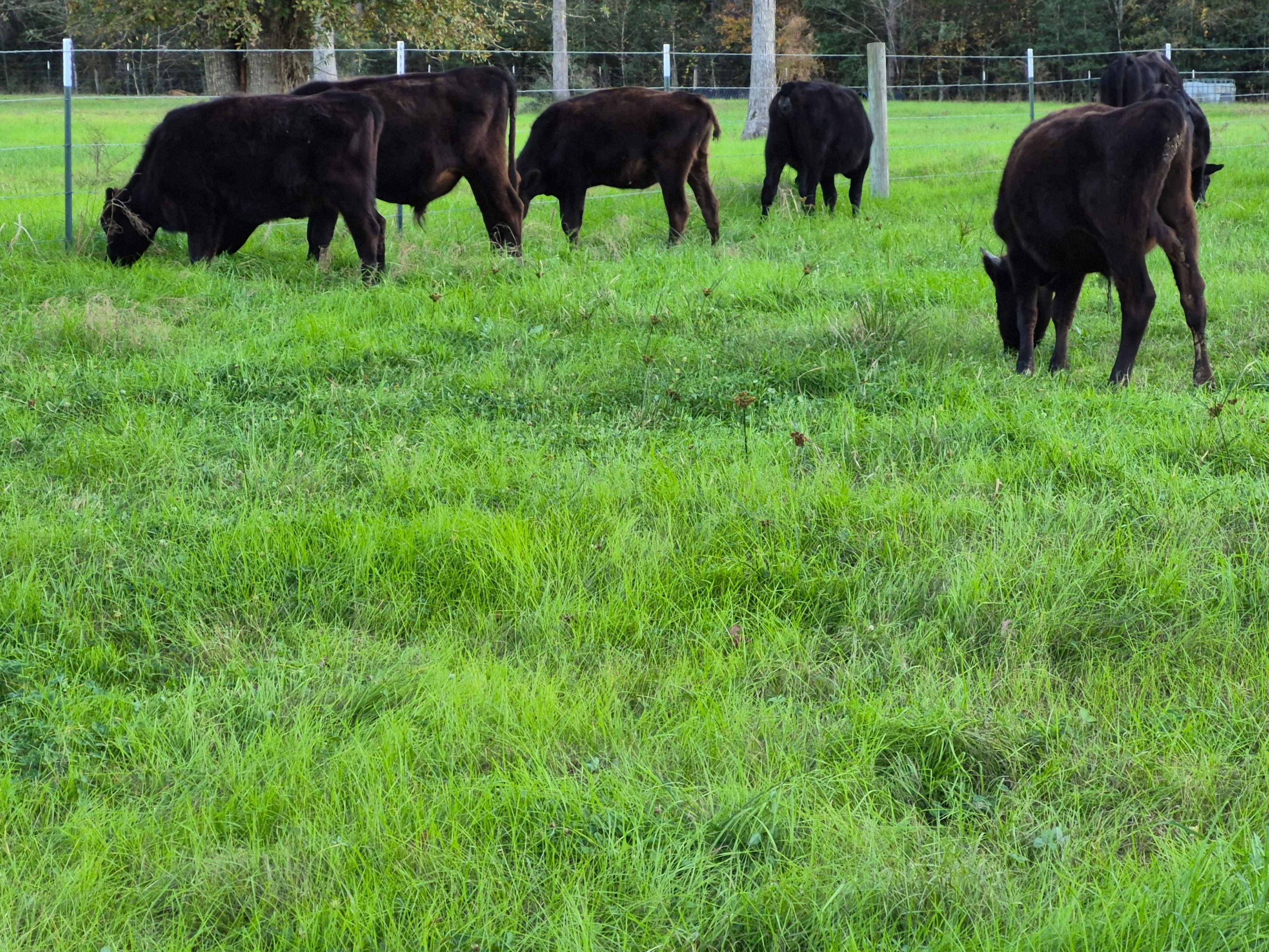 F n F Cattle Company ranch